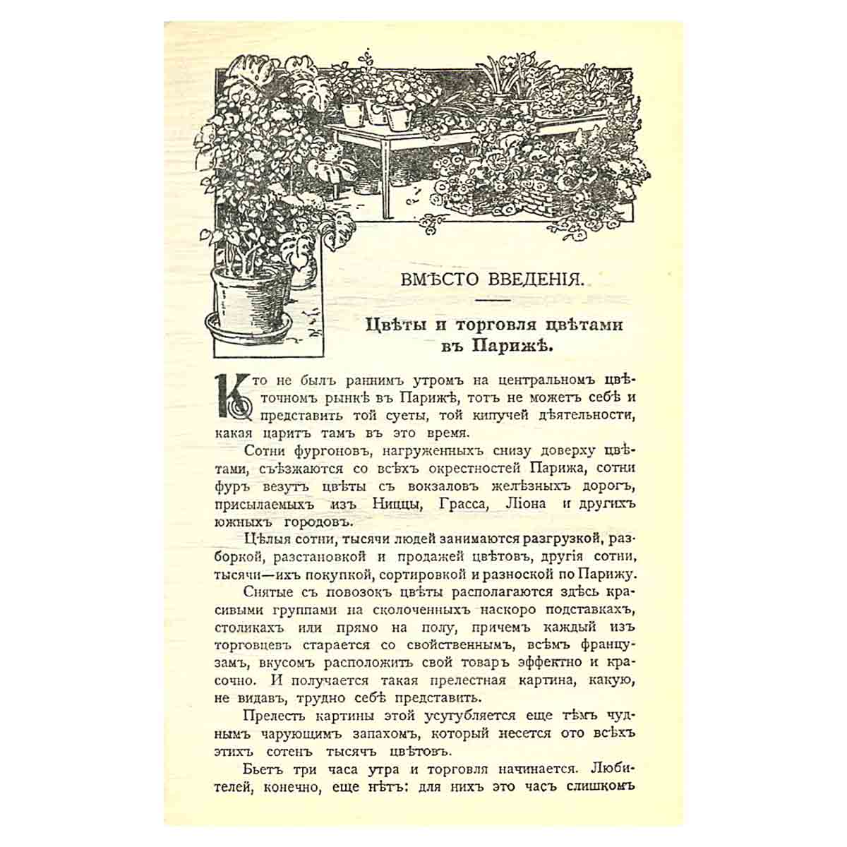 Цветы в легендах и преданиях