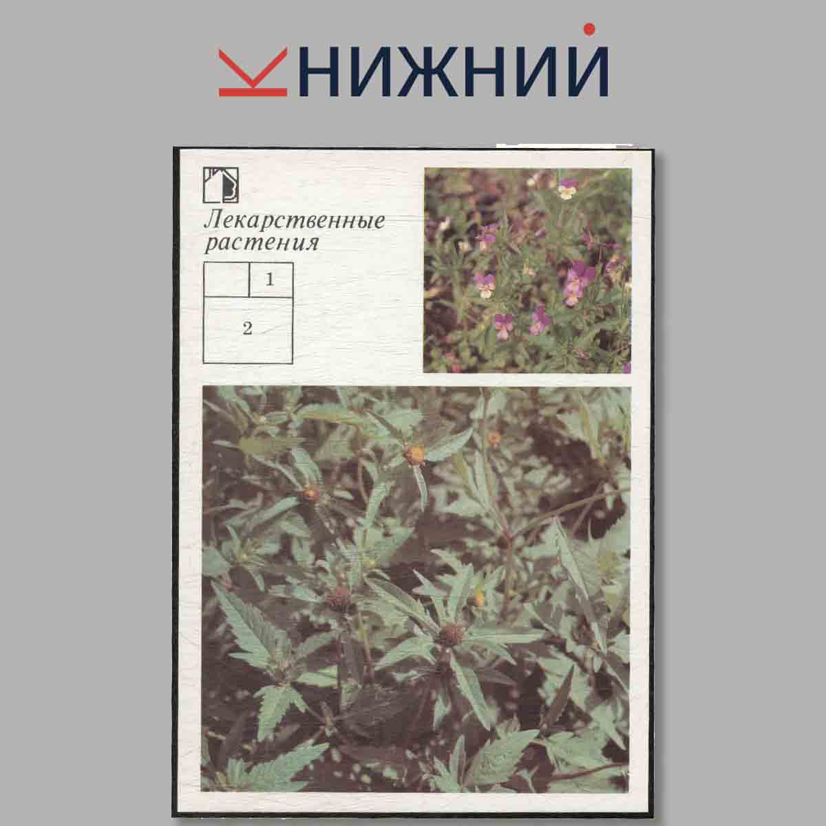 Набор открыток. Ваш приусадебный участок. Лекарственные растения. Выпуск 4.