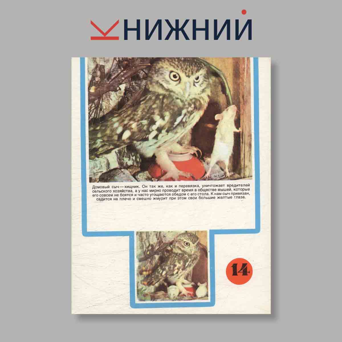 Набор открыток. "Айболит. Живет в Баку"