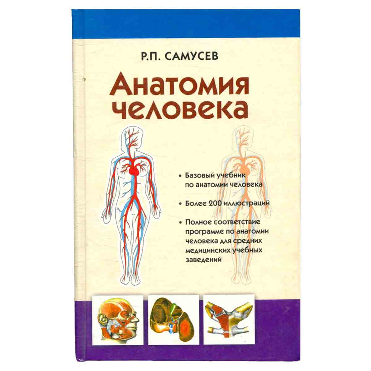 Анатомия человека