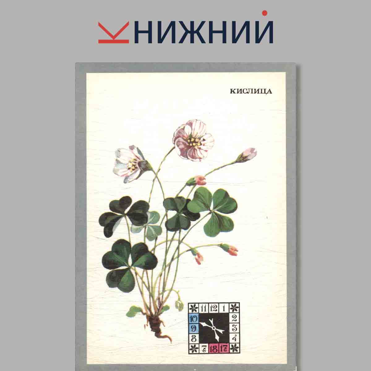 Набор открыток. Цветы-часы.