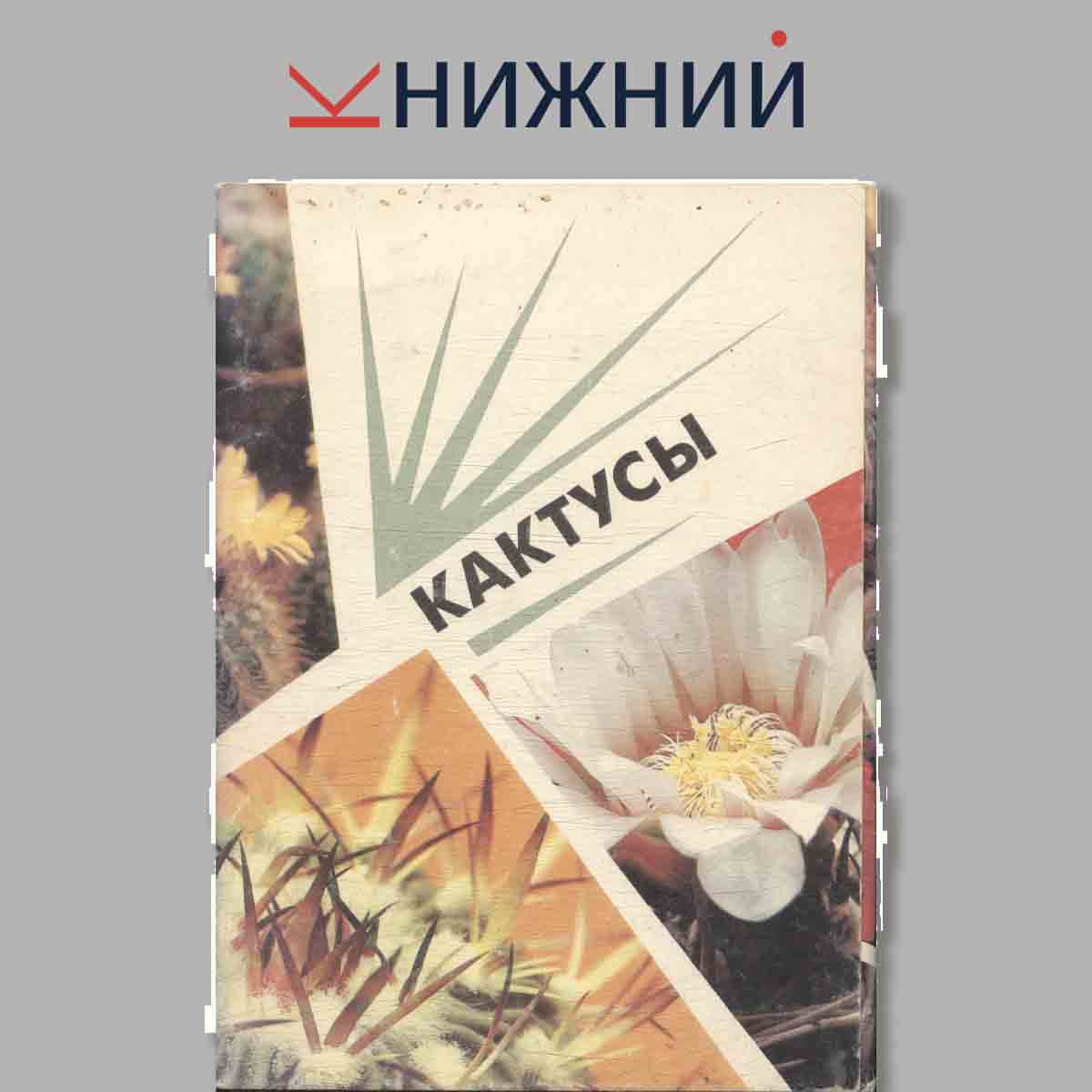Набор открыток. Кактусы. Выпуск 2.