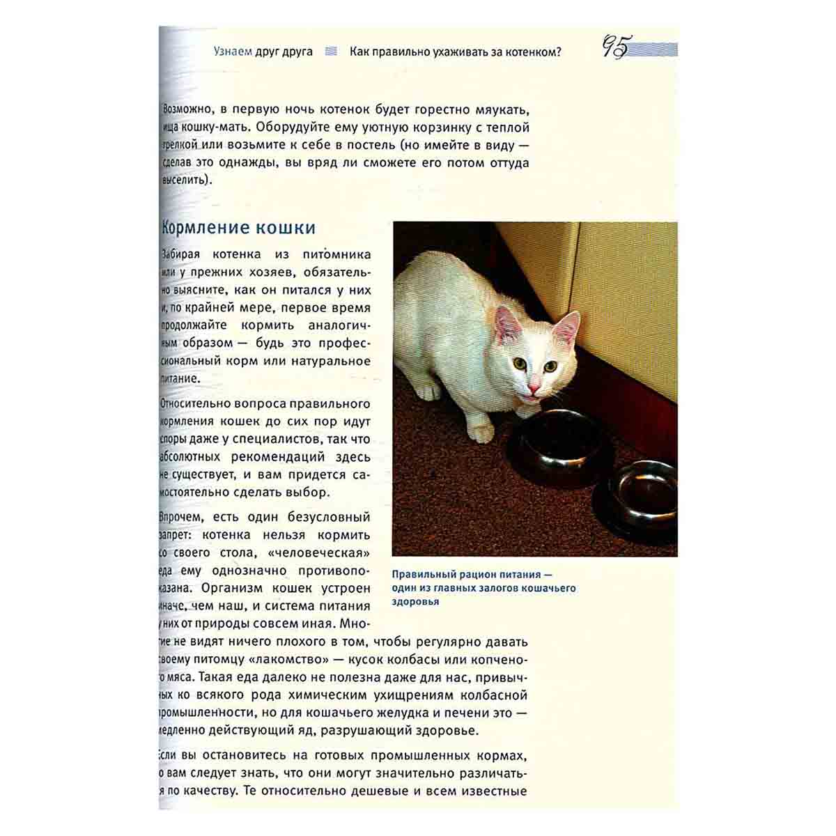 Кошки. Иллюстрированная энциклопедия