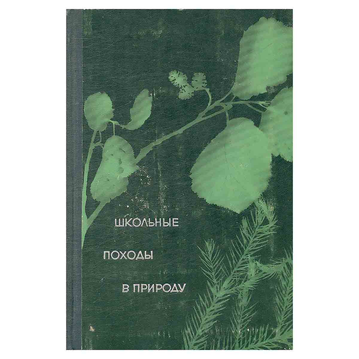 Школьные походы в природу