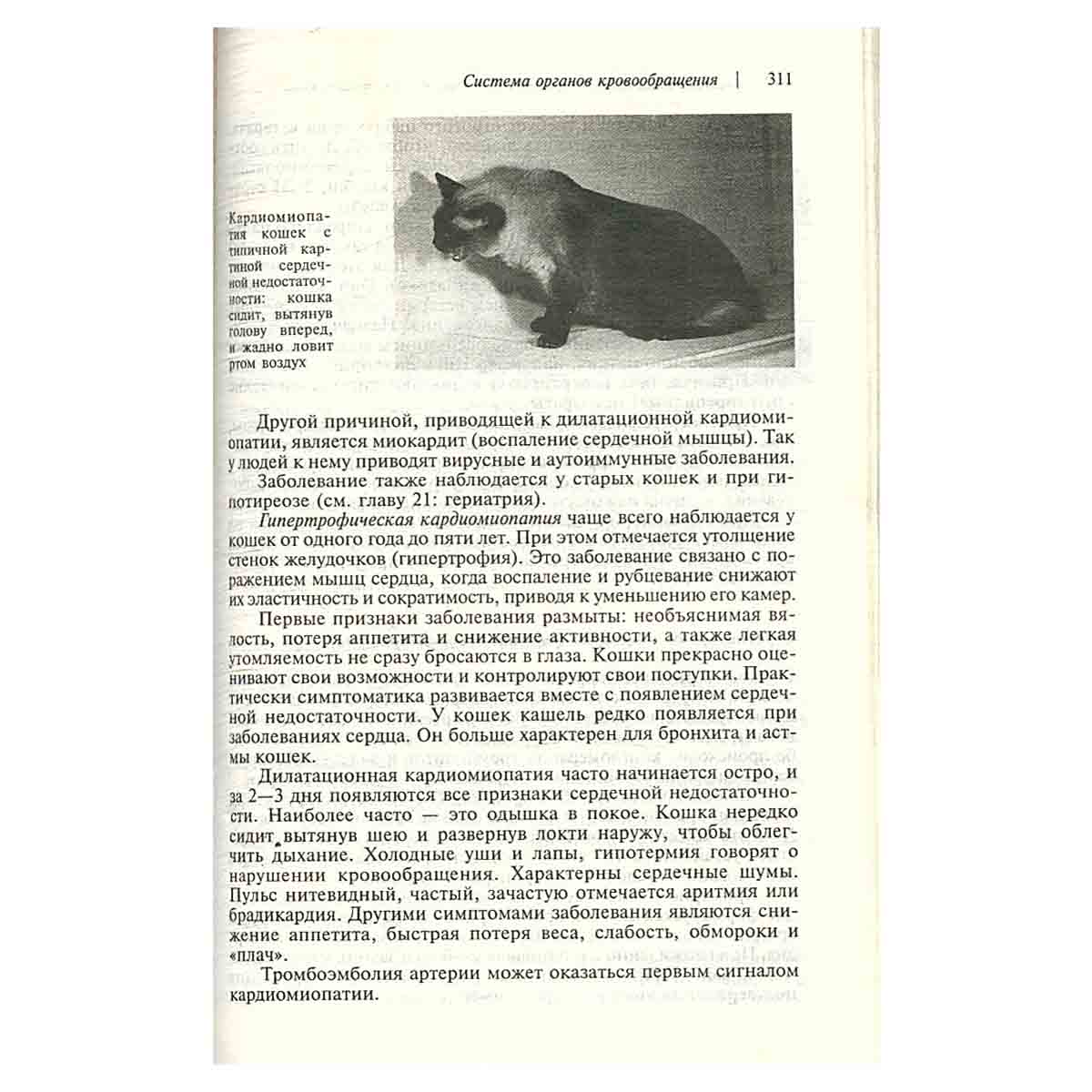Домашний ветеринарный справочник для владельцев кошек