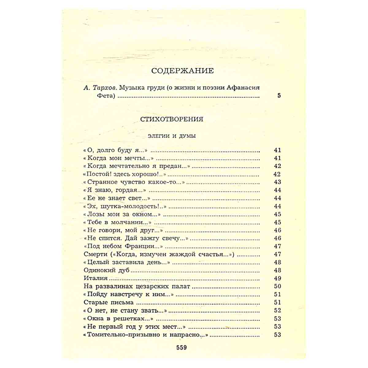 А. А. Фет. Сочинения в 2 томах (комплект из 2 книг)