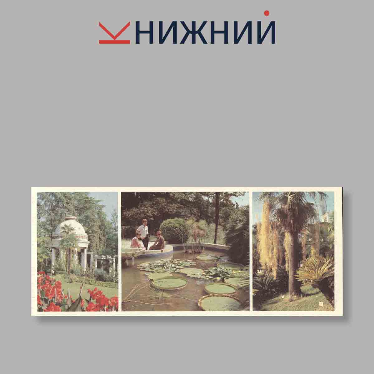 Набор открыток. "Сочи"