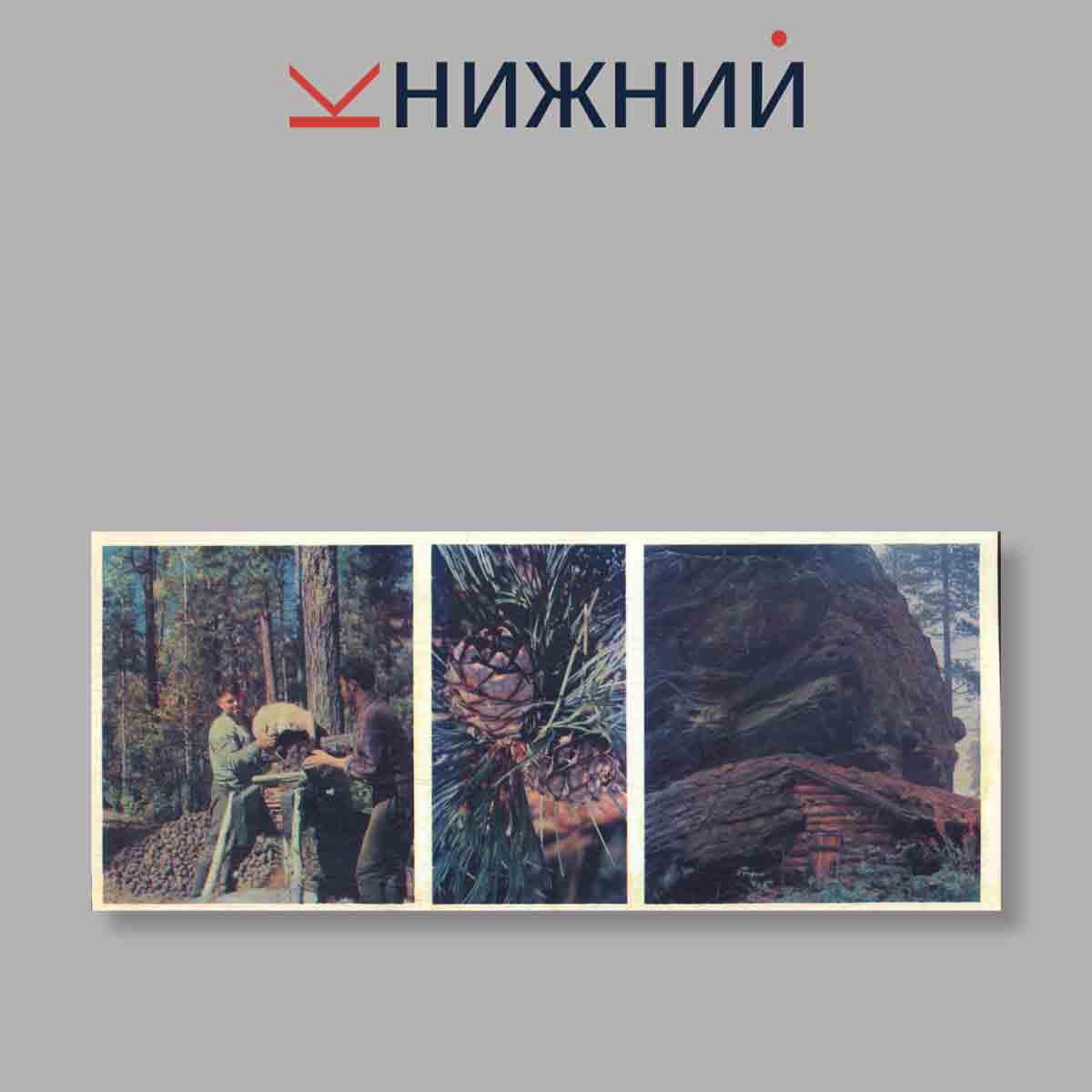 Набор открыток. "По Байкалу. Baikal"