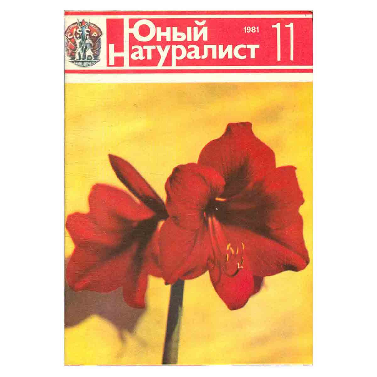 Журнал "Юный натуралист". Выпуск 11 1981 год