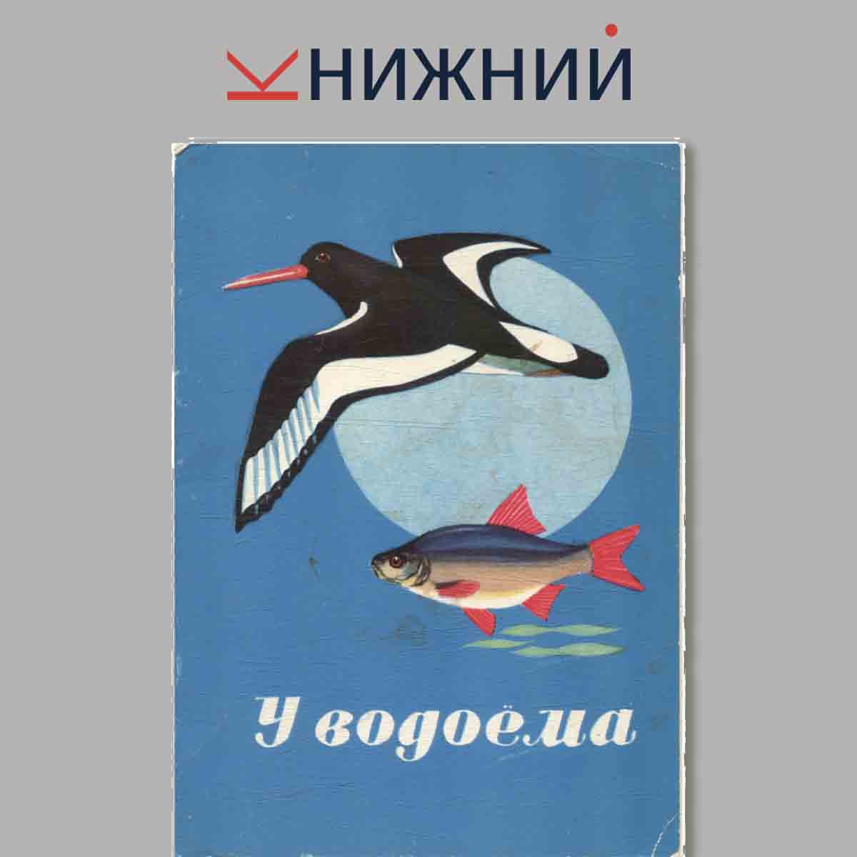 Набор открыток. У водоёма.