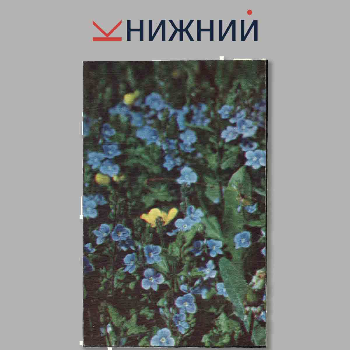 Набор открыток. Цветы России.