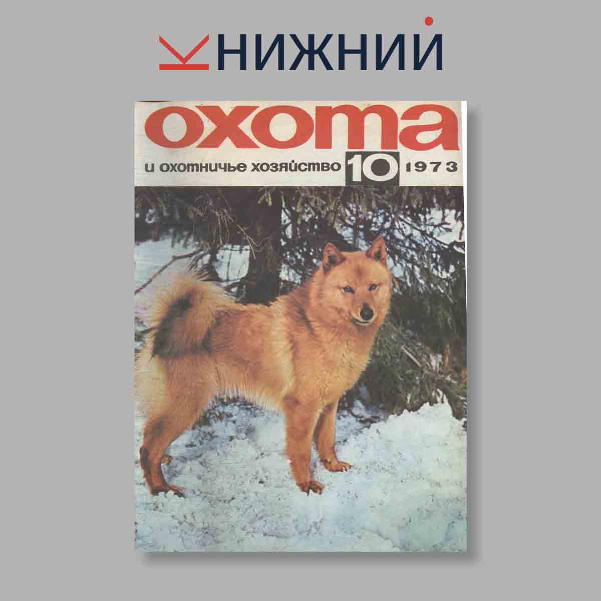 Журнал Охота и охотничье хозяйство. Выпуск № 10, 1973