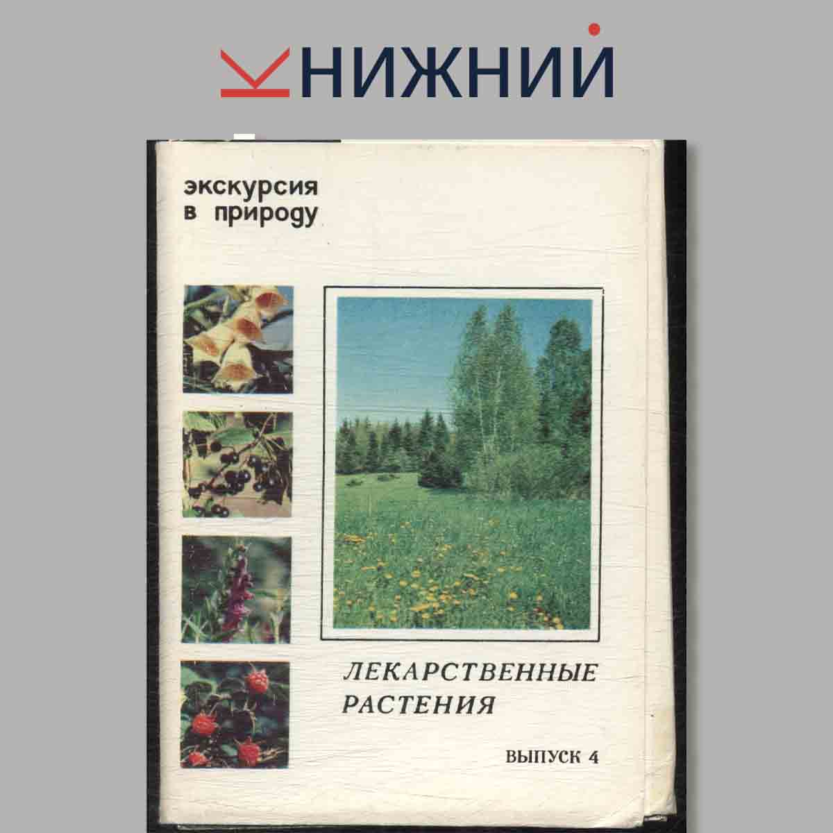 Набор открыток. Экскурсия в природу. Лекарственные растения. Выпуск 4.