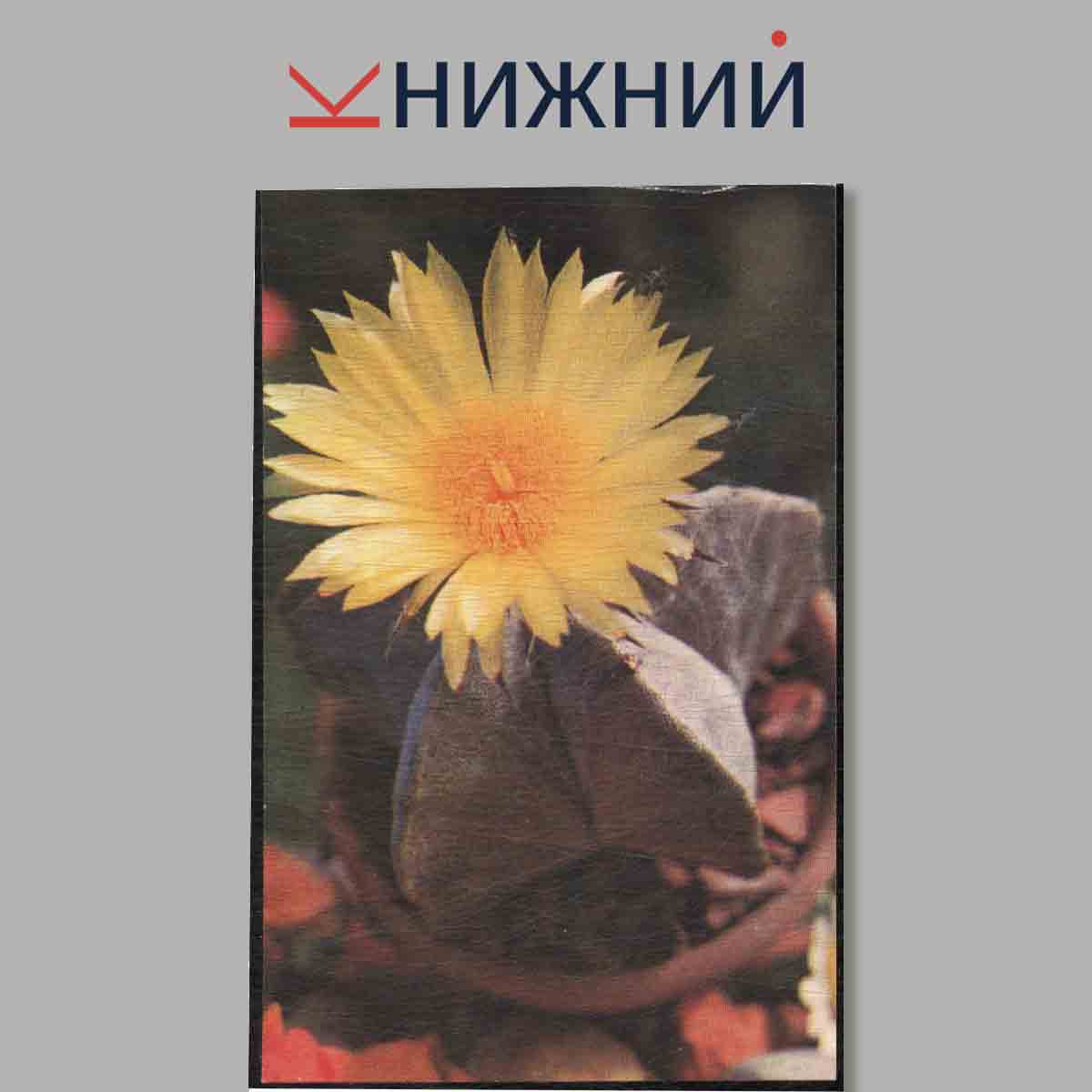 Набор открыток. Домашний сад. Увлечение.