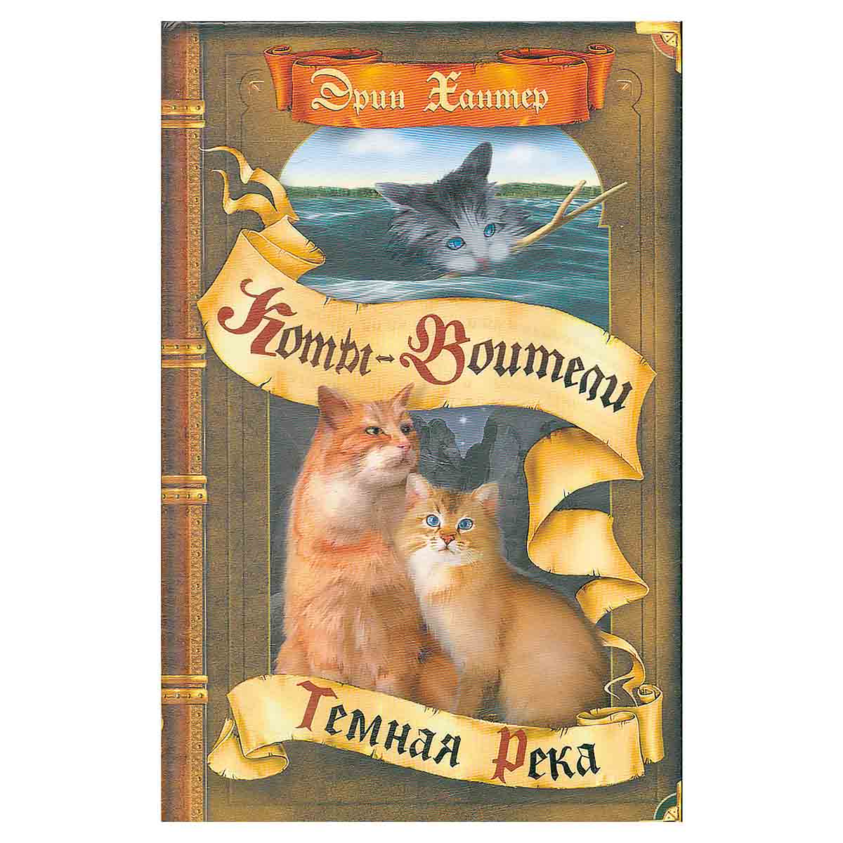 Темная река