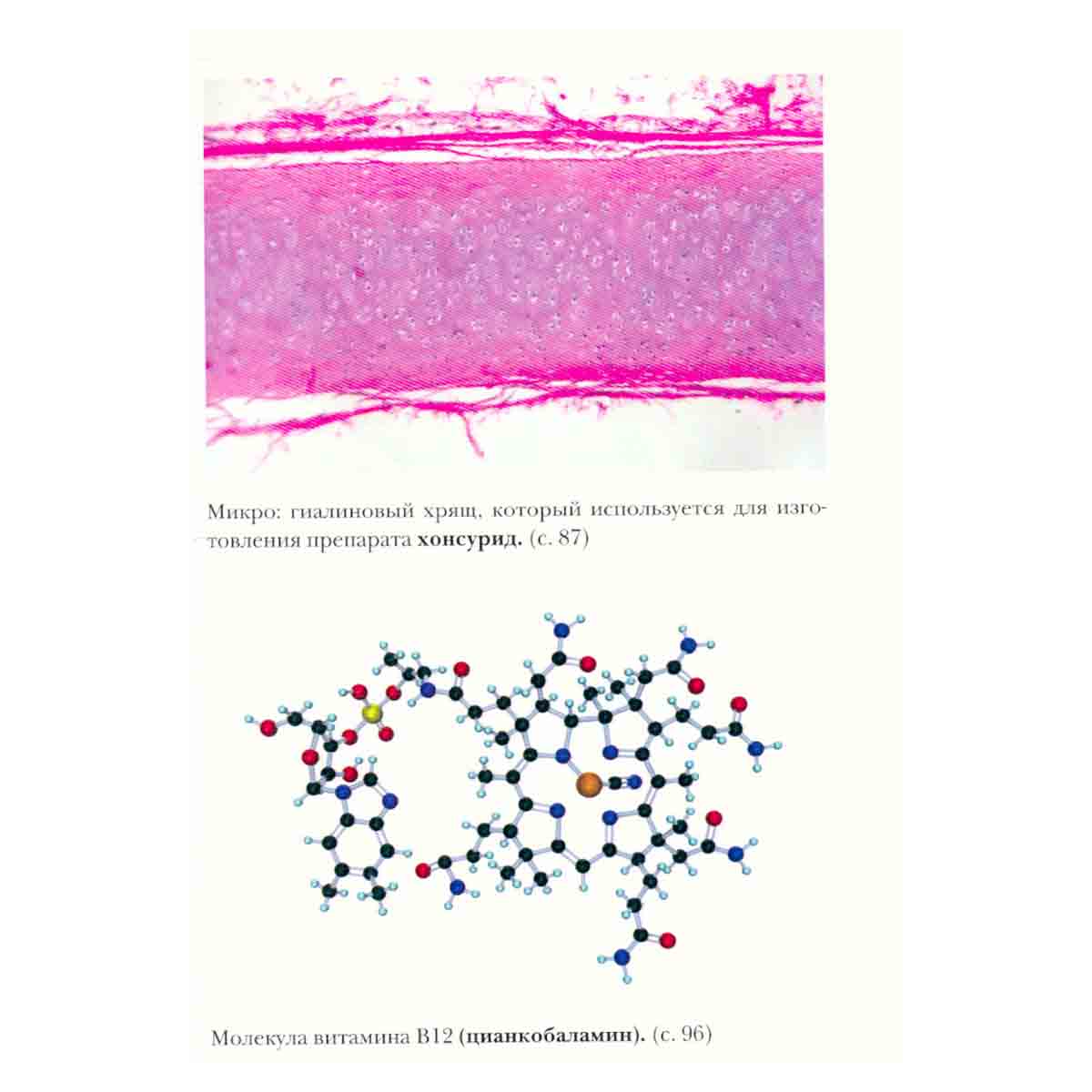 Большая медицинская энциклопедия в 30 томах. Том 27. Фармакологический справочник.