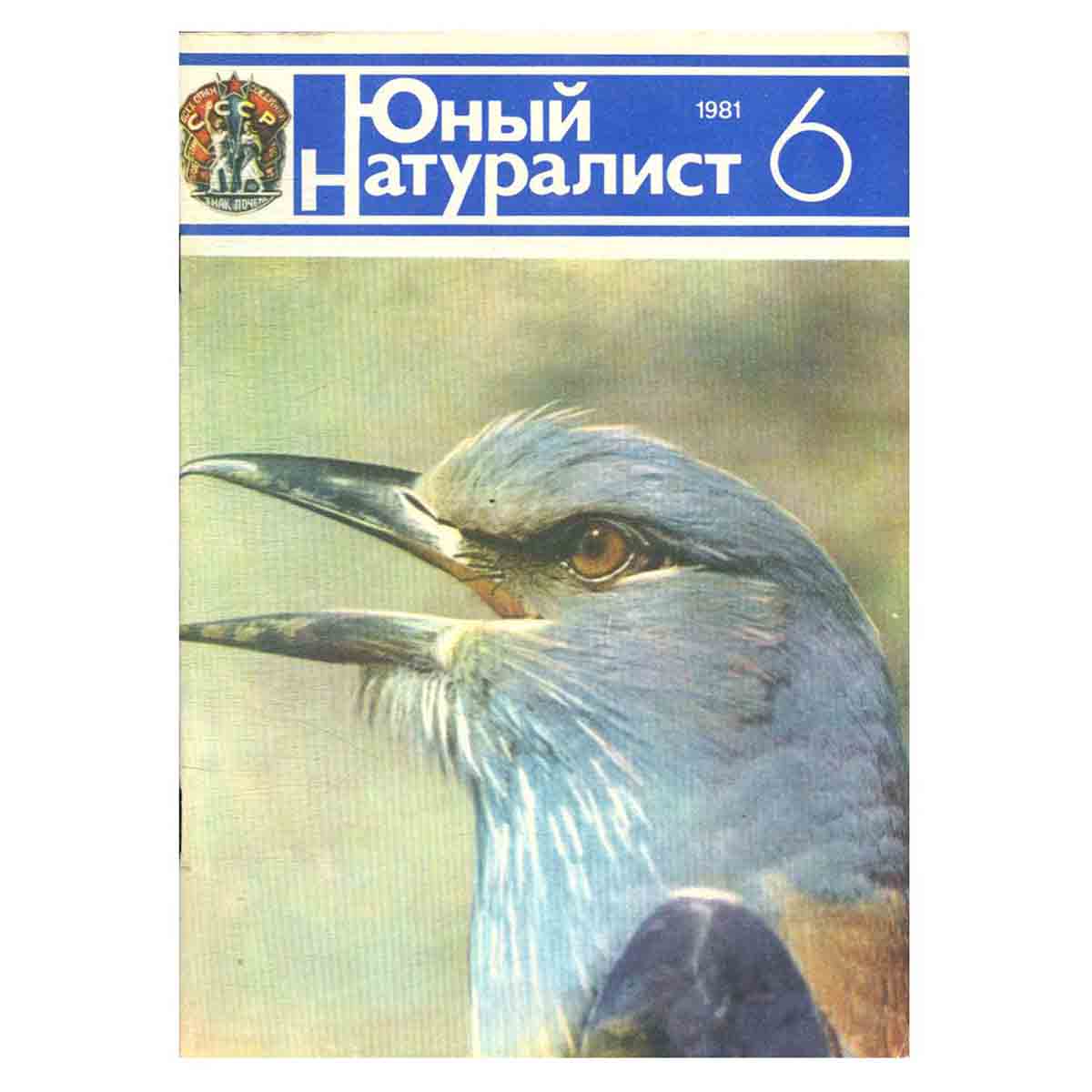 Журнал "Юный натуралист". Выпуск 6 1981 год