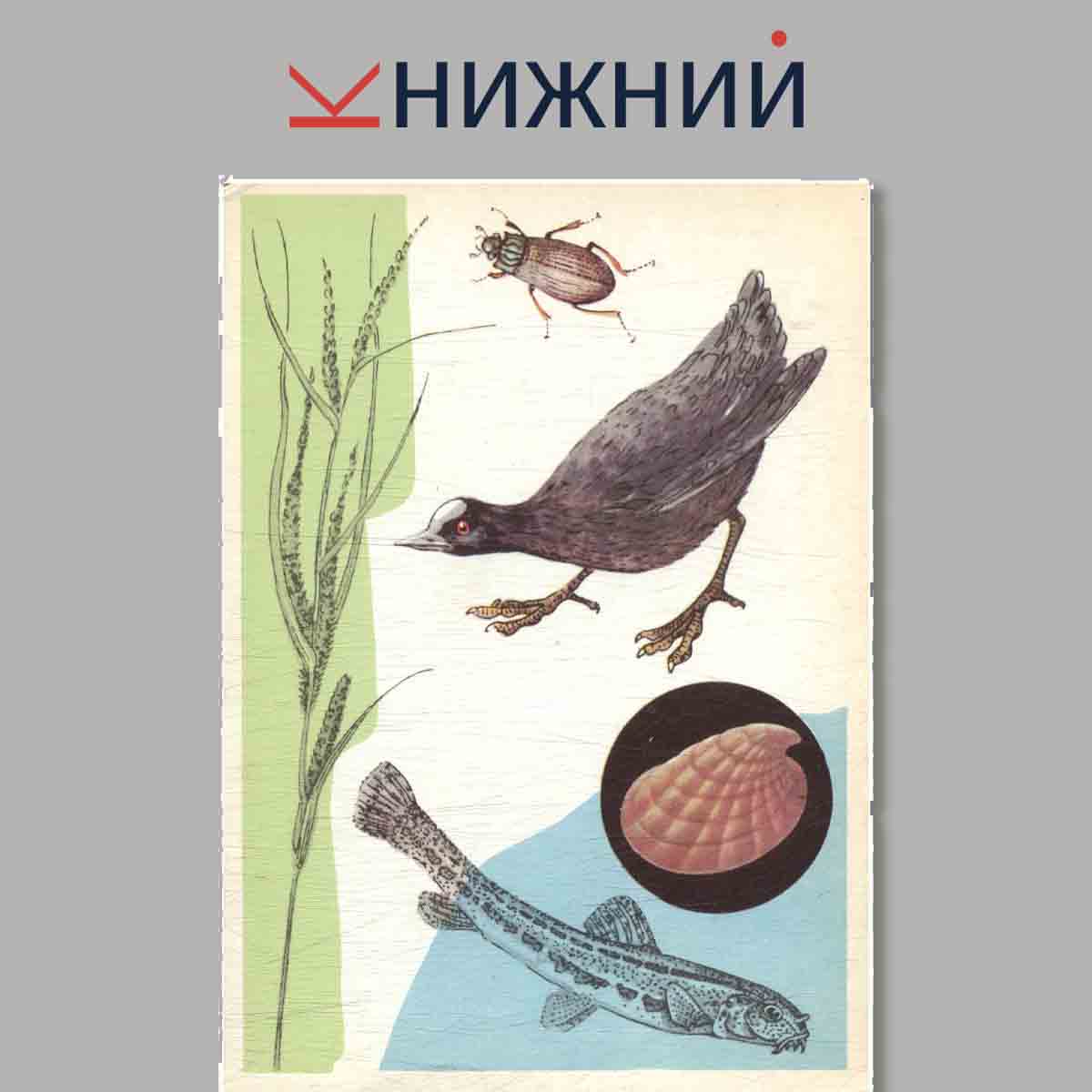 Набор открыток. У водоёма.