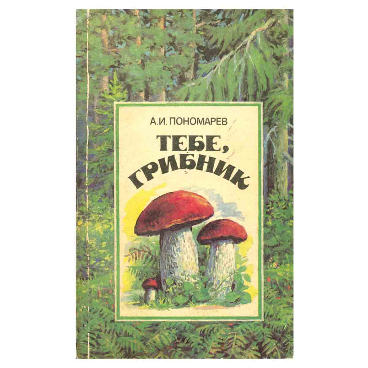 Тебе, грибник