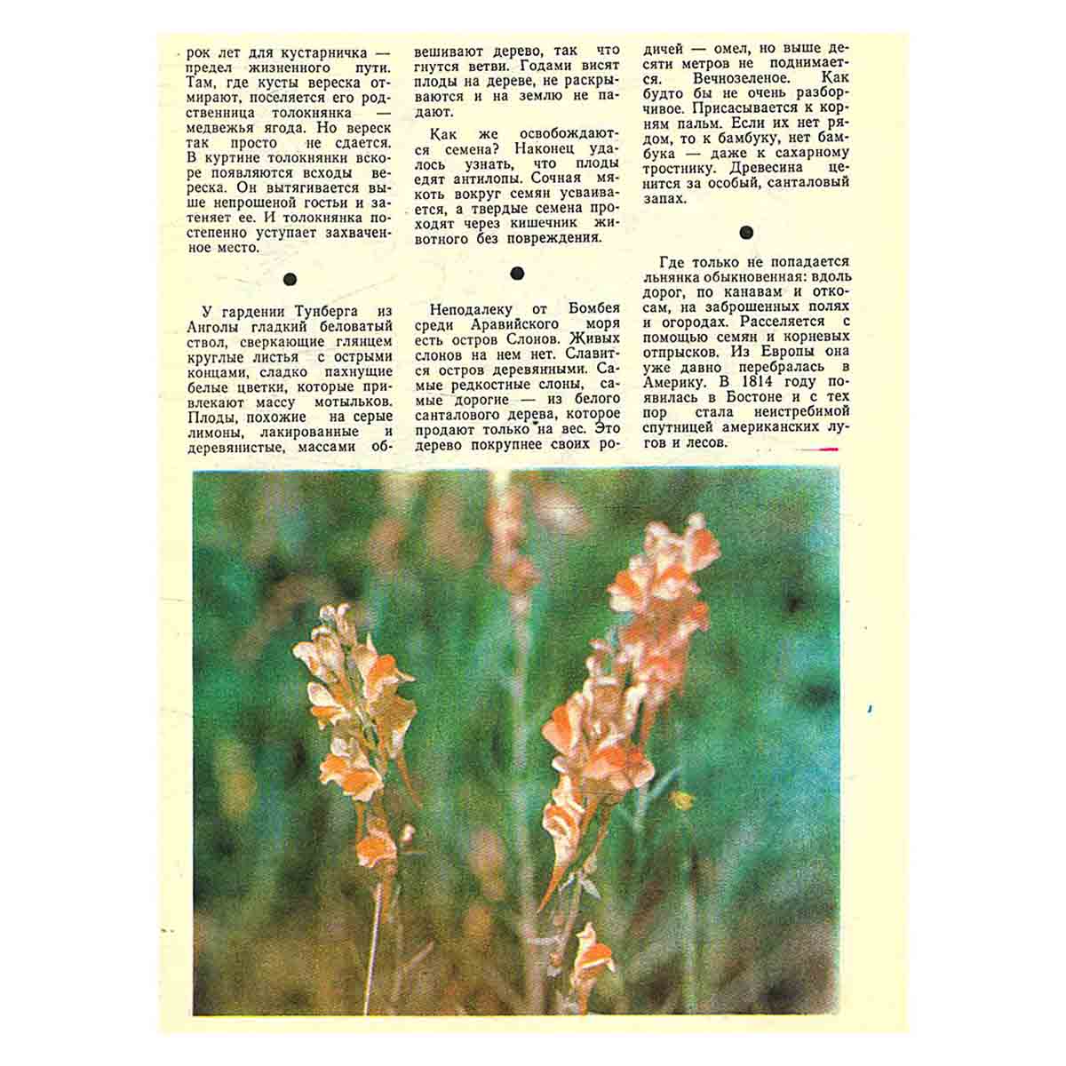 Журнал "Юный натуралист". Выпуск 5 1980 год