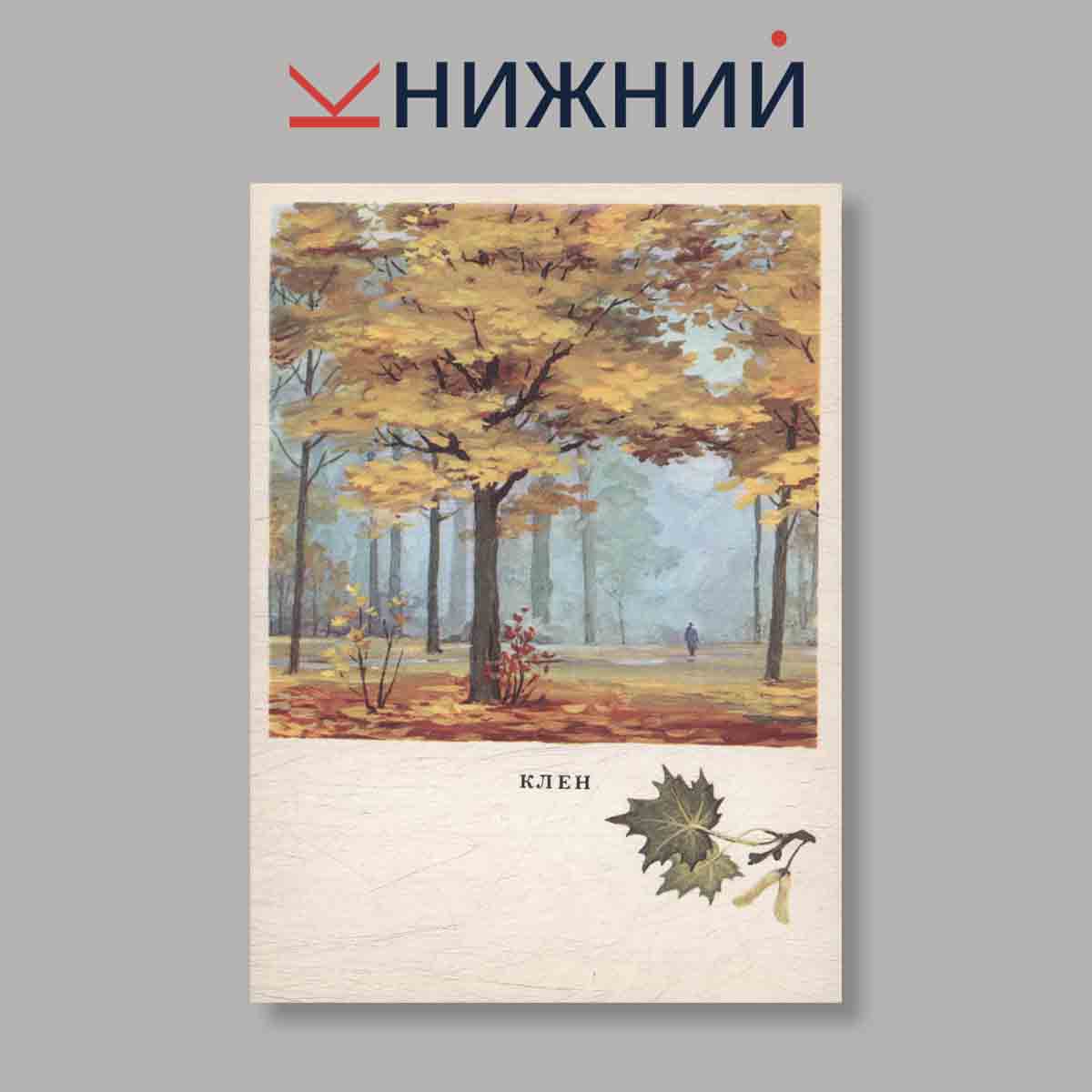 Набор открыток. "Русский лес"