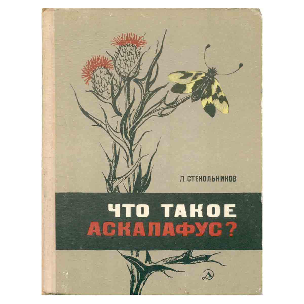 Что такое аскалафус?