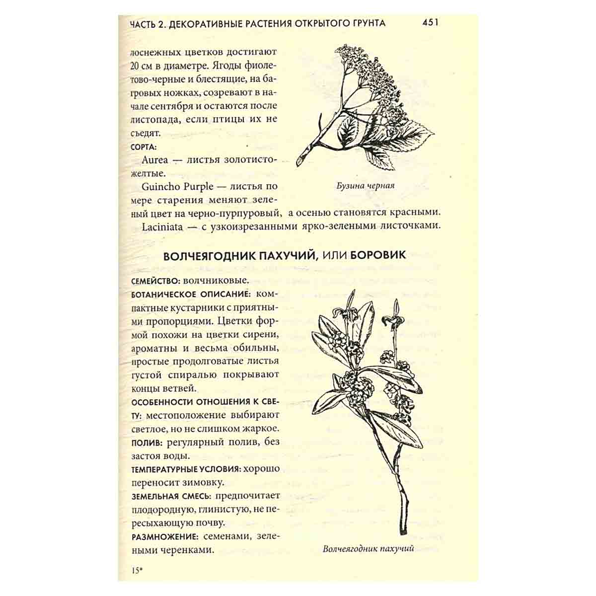 Энциклопедия комнатных и садовых растений