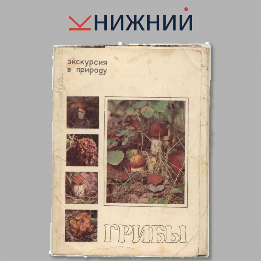 Набор открыток. Экскурсия в природу. Грибы.
