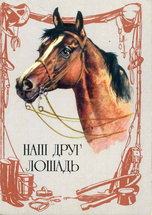 Набор открыток. Наш друг лошадь.