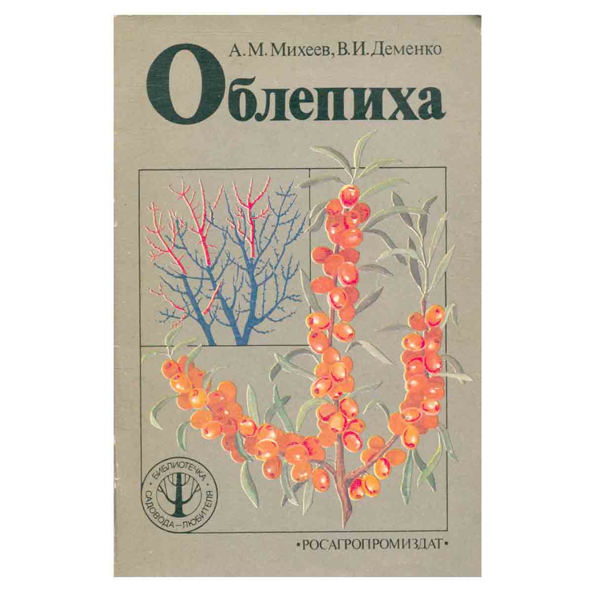 Облепиха