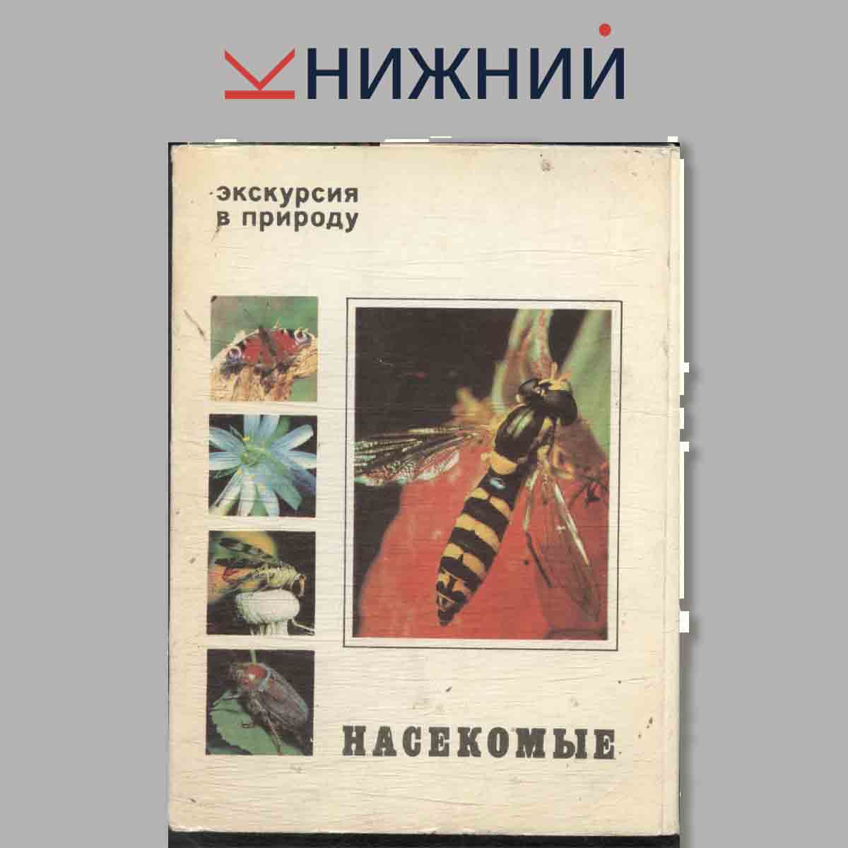 Набор открыток. Экскурсия в природу. Насекомые.
