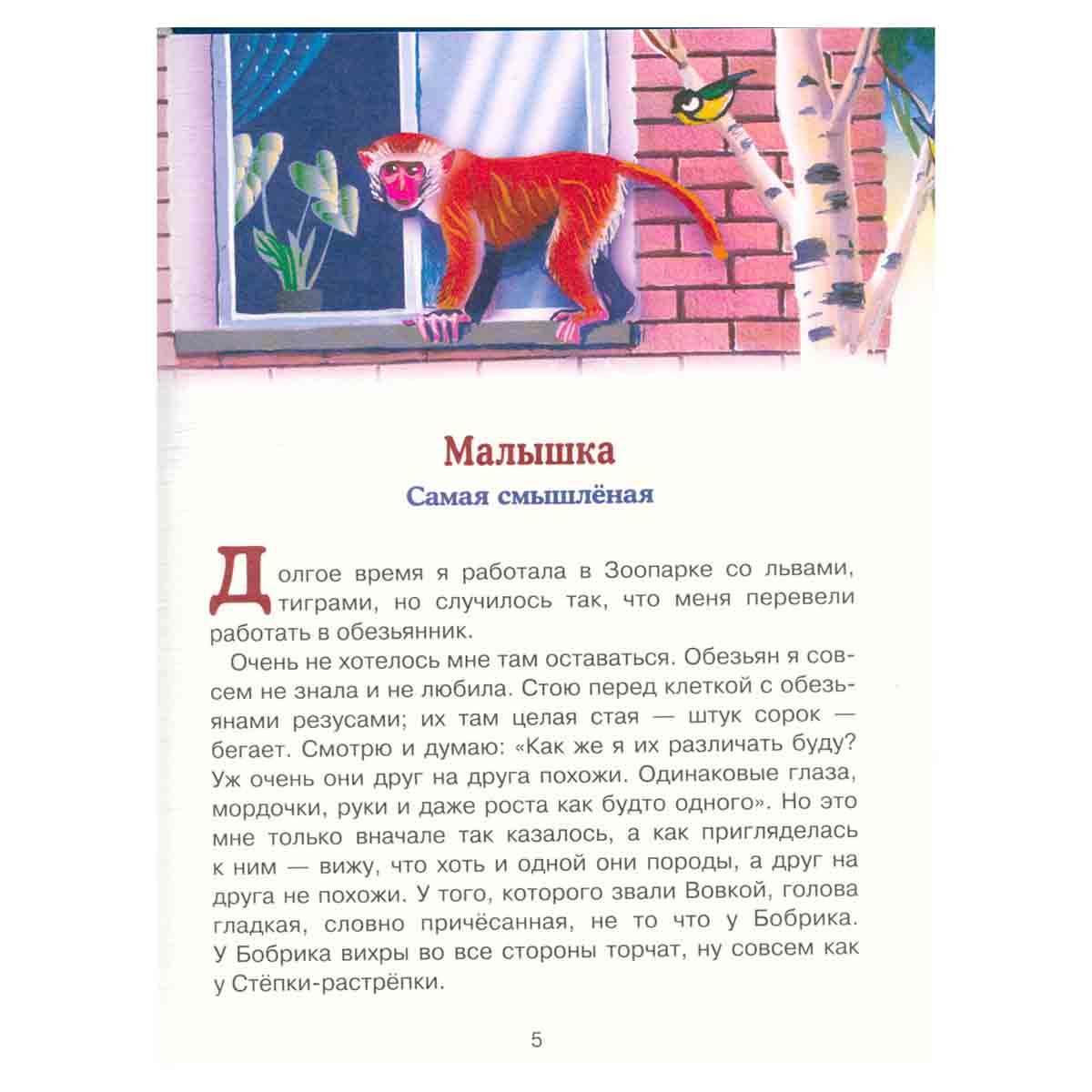 Фомка - белый медвежонок