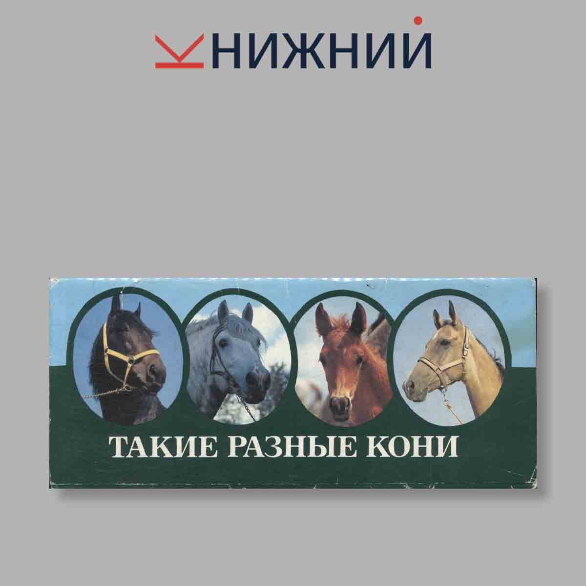 Набор открыток. "Такие разные кони"