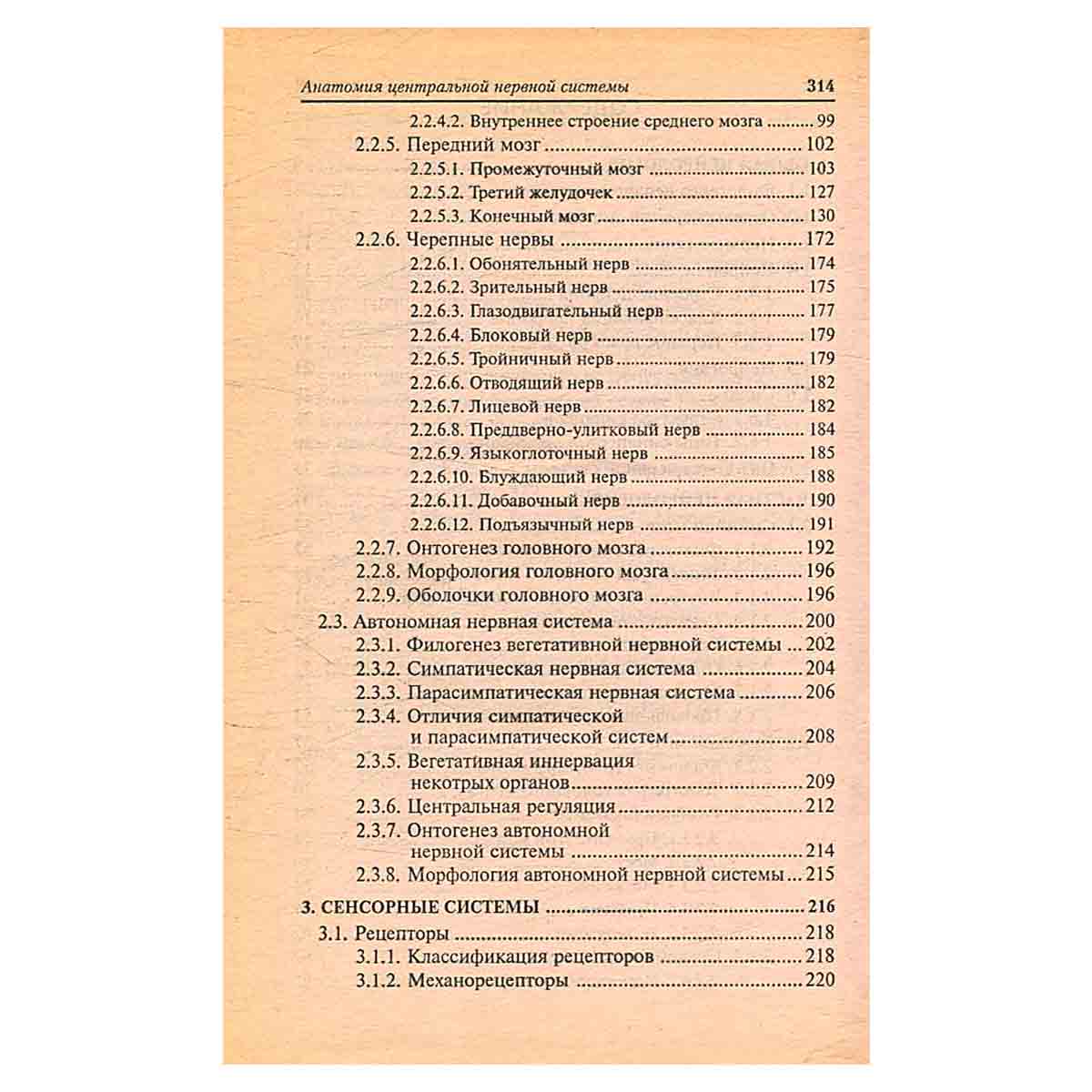 Анатомия центральной нервной системы