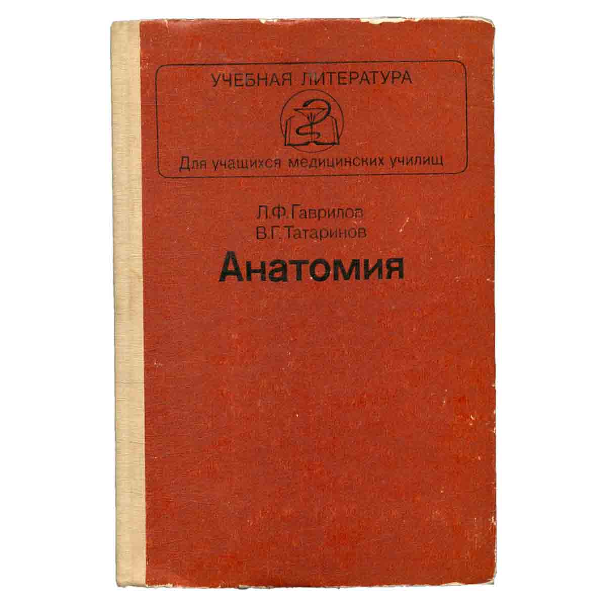 Анатомия