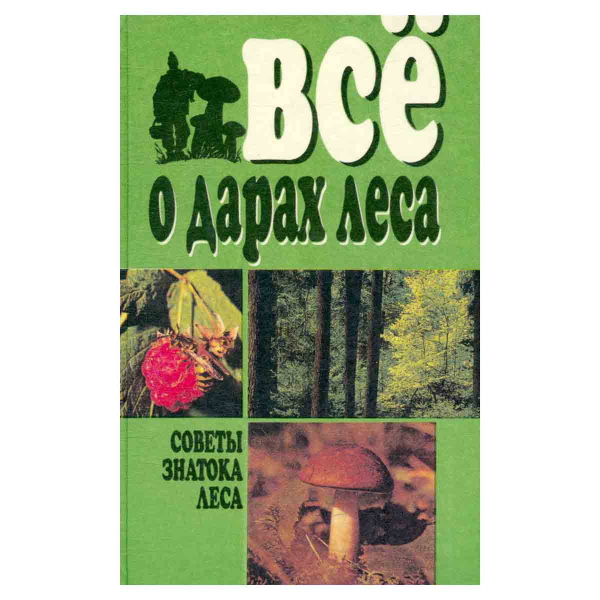 Все о дарах леса. Советы знатока леса