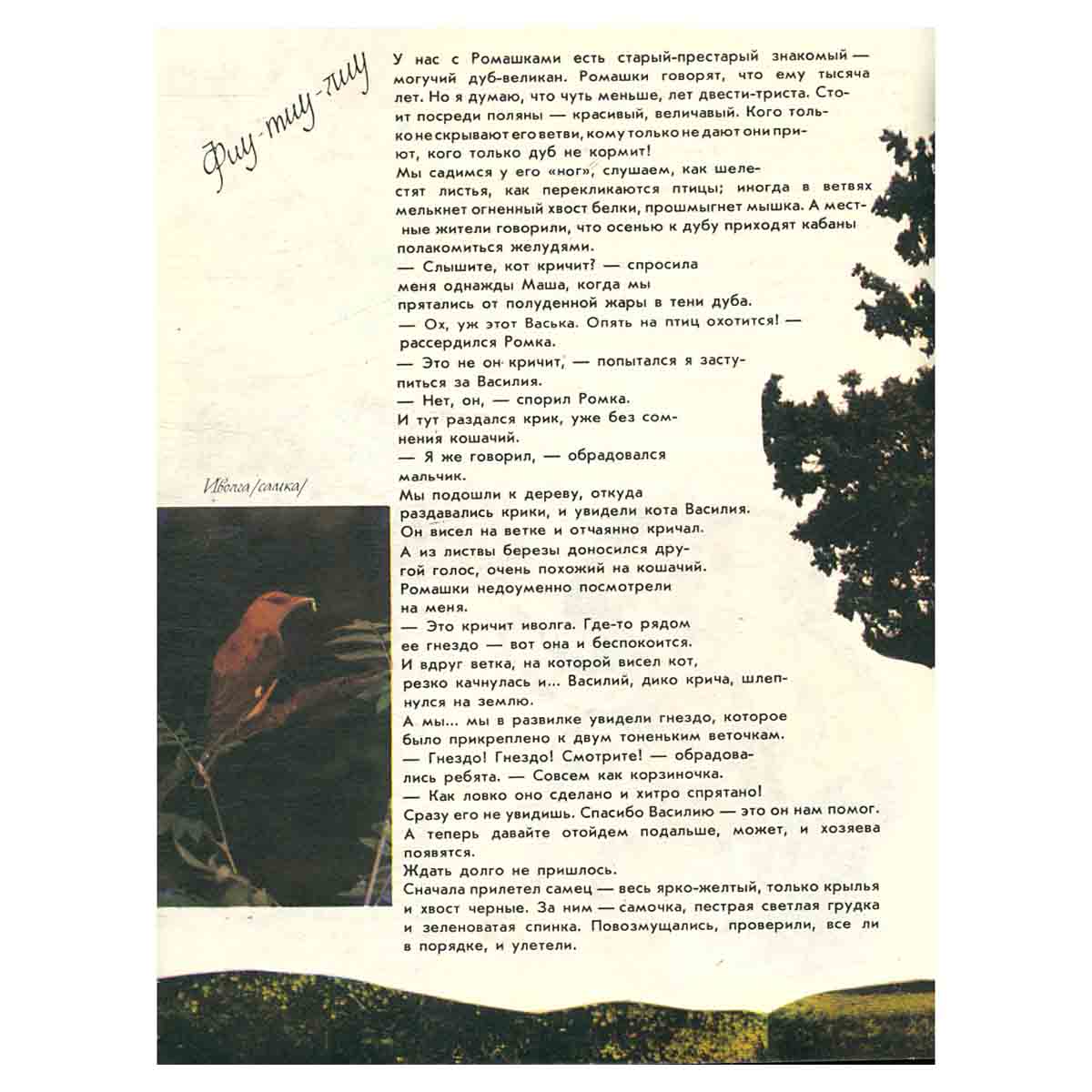 О природе для больших и маленьких
