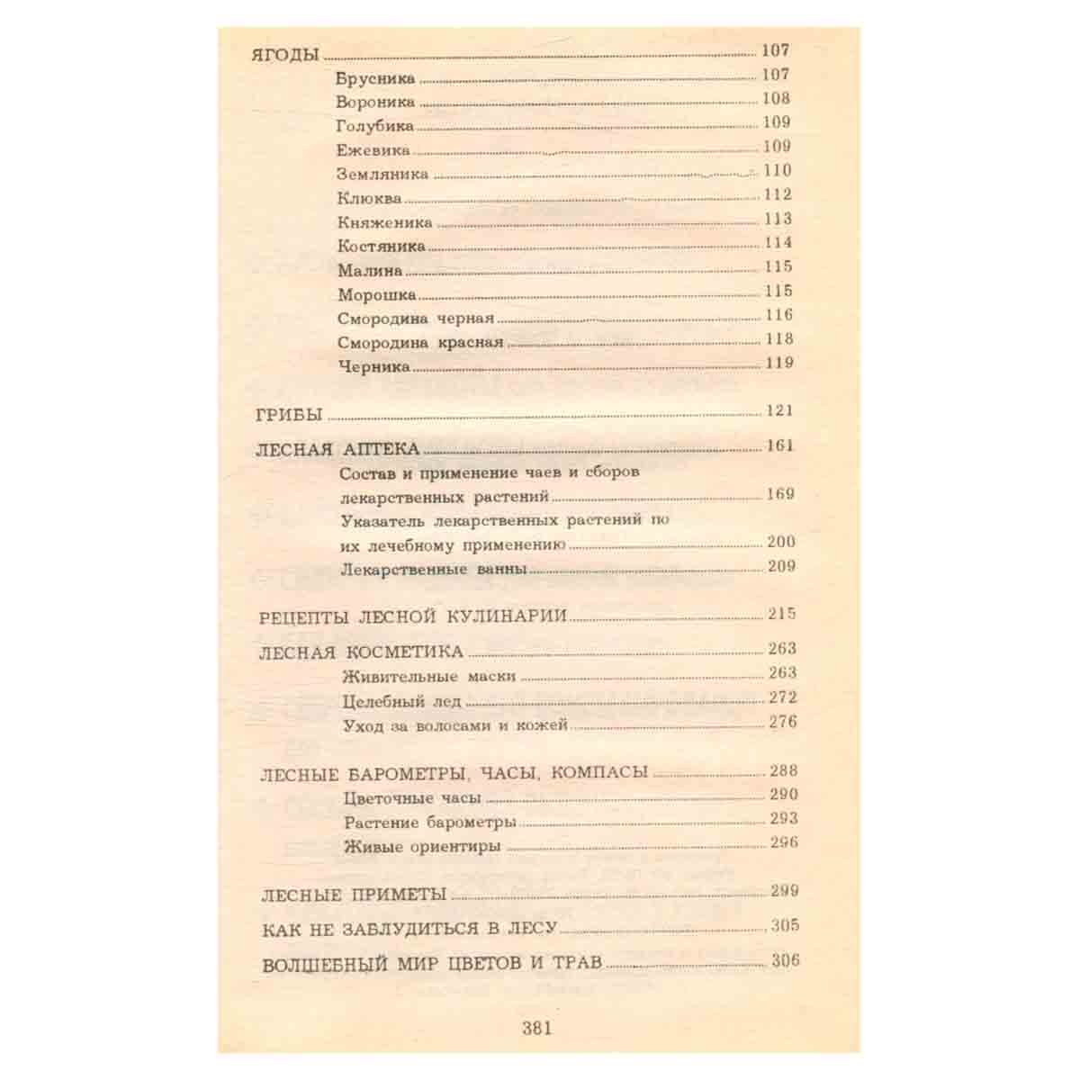 Все о дарах леса. Советы знатока леса