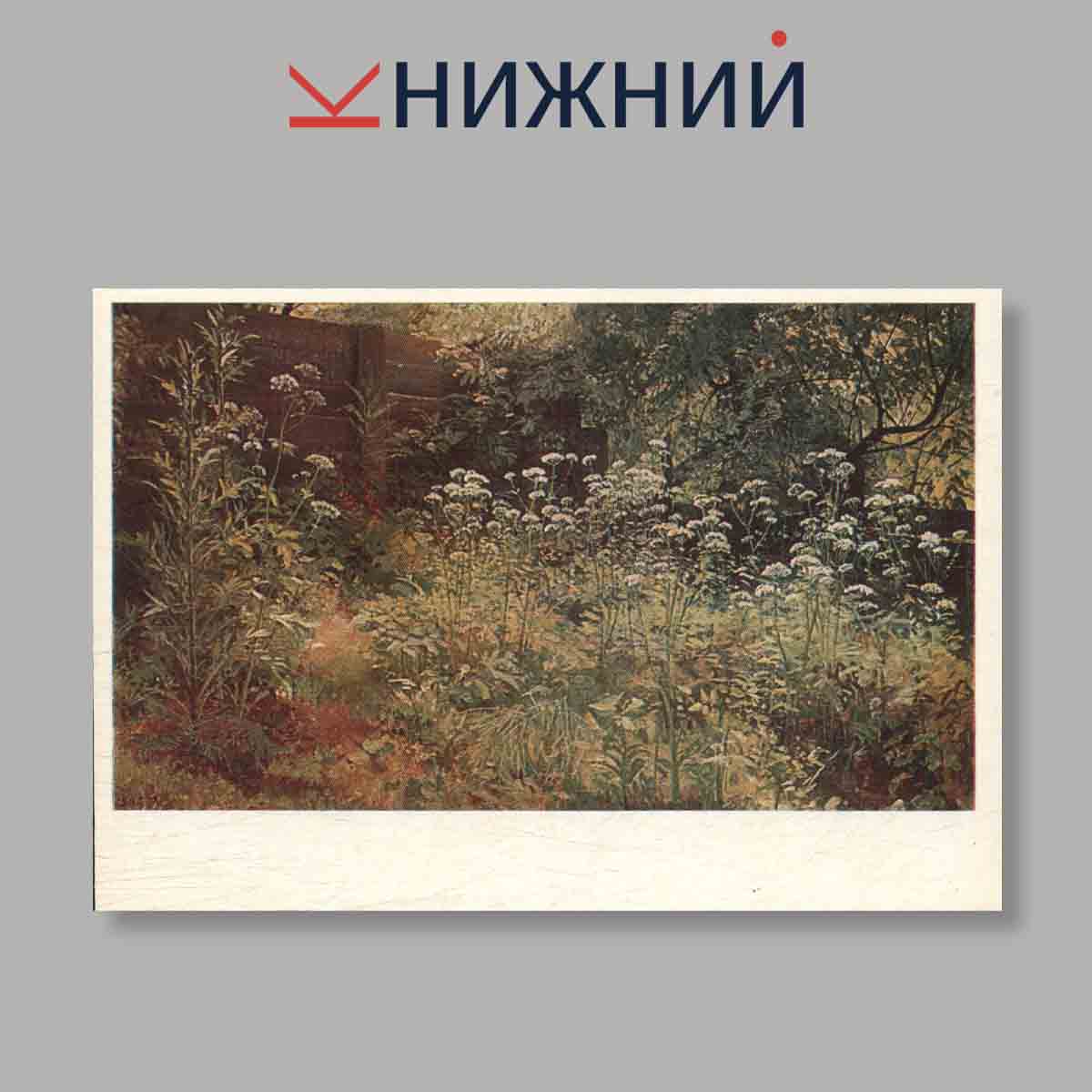 Набор открыток. "Shishikin"
