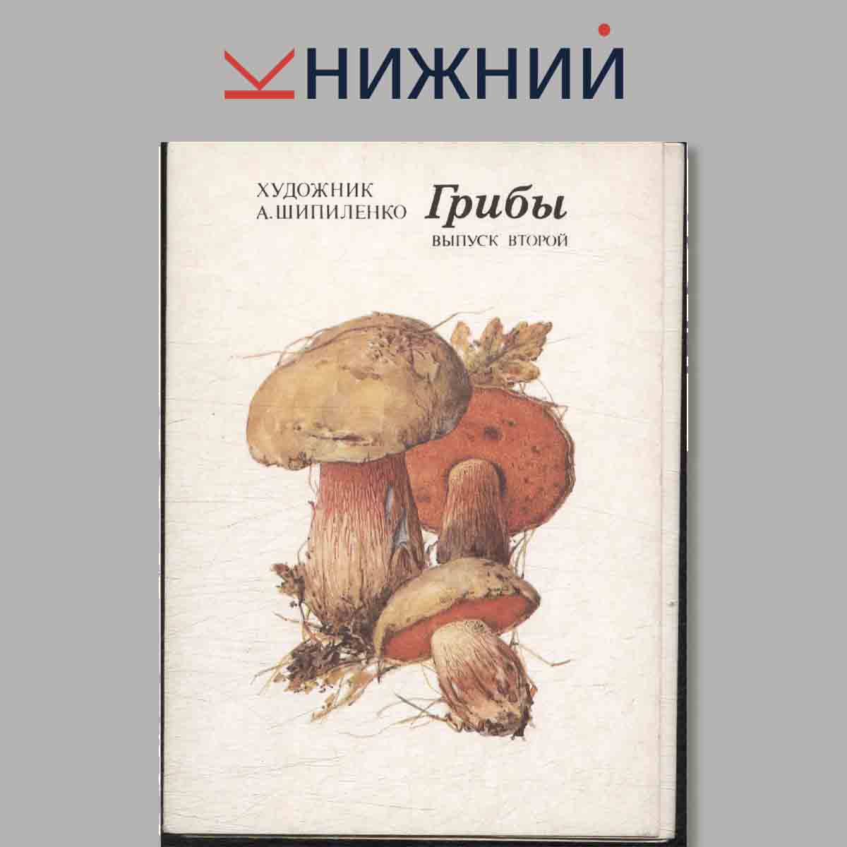 Набор открыток. Грибы. Выпуск 2.