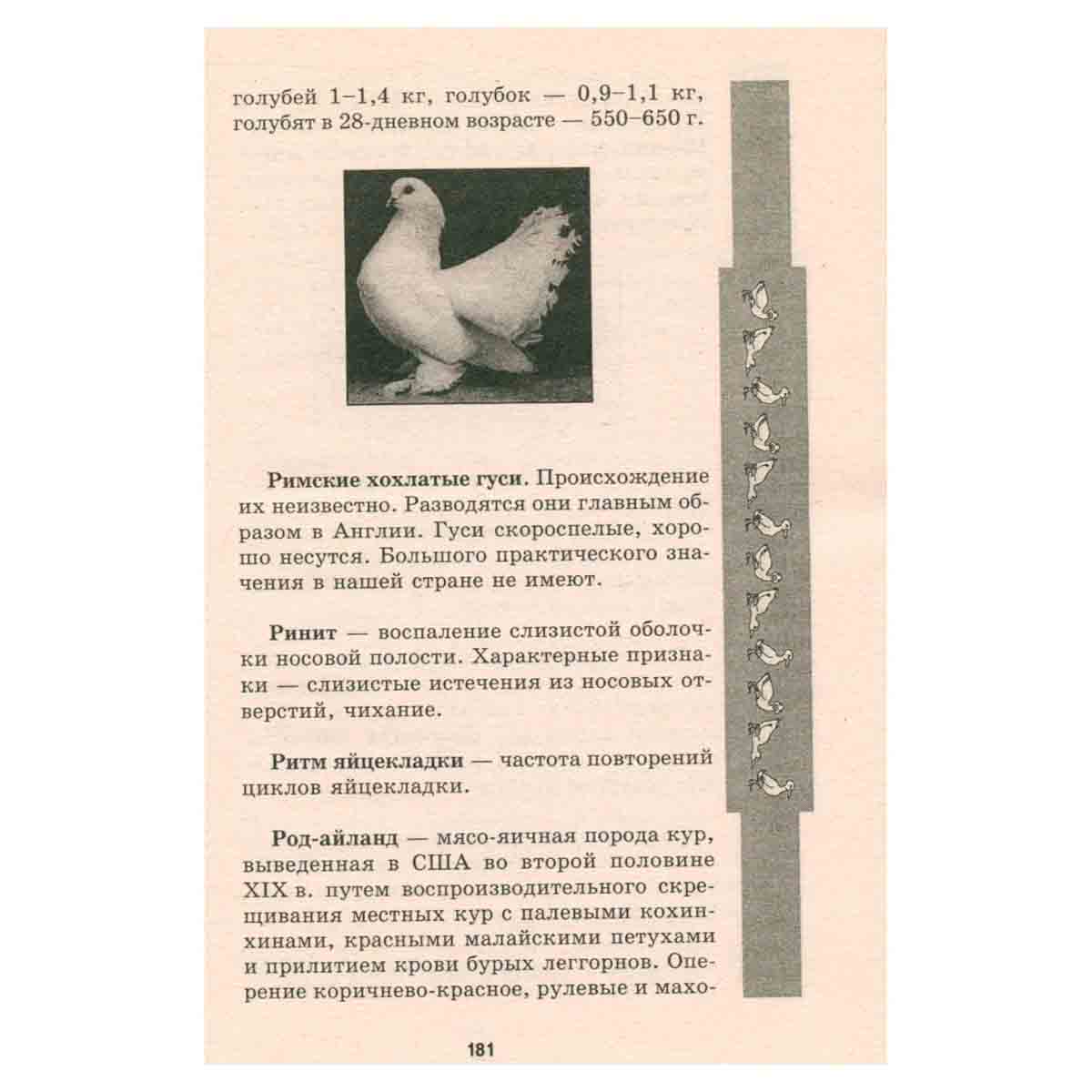 Птицеводство от А до Я