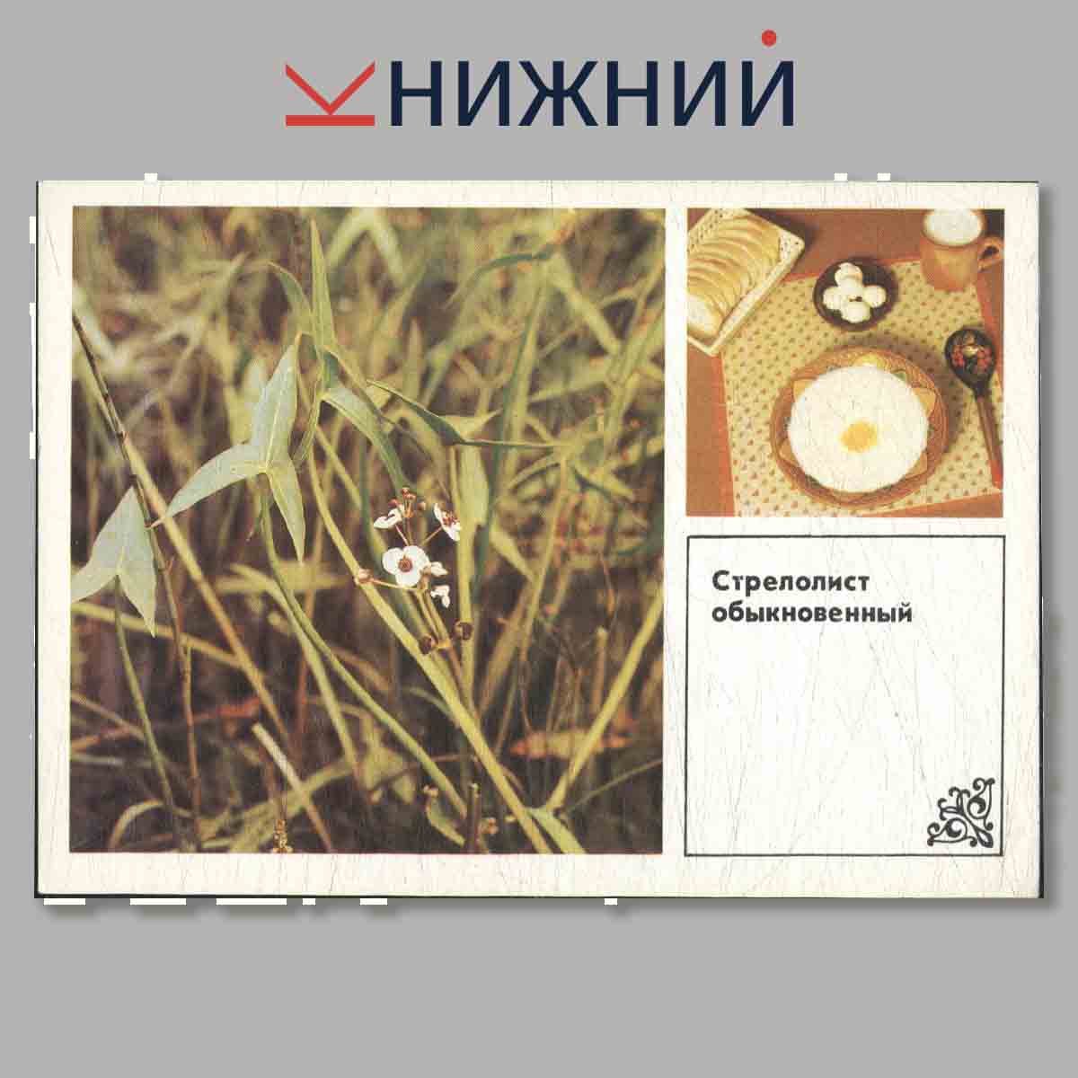 Набор открыток. Soviet Porcelain.