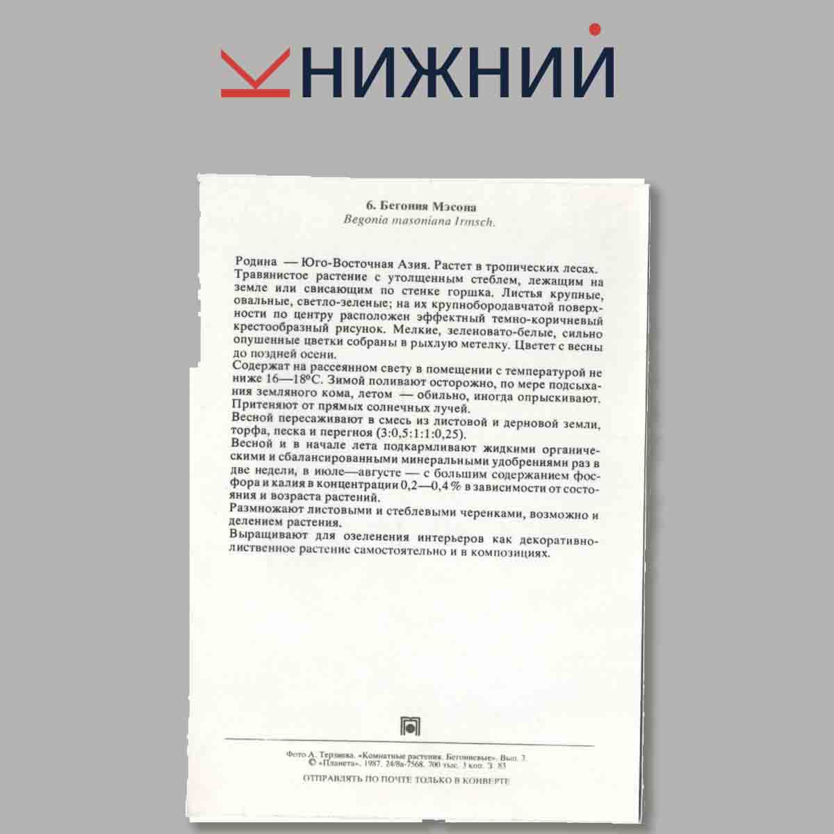 Набор открыток. Комнатные растения Бегониевые.