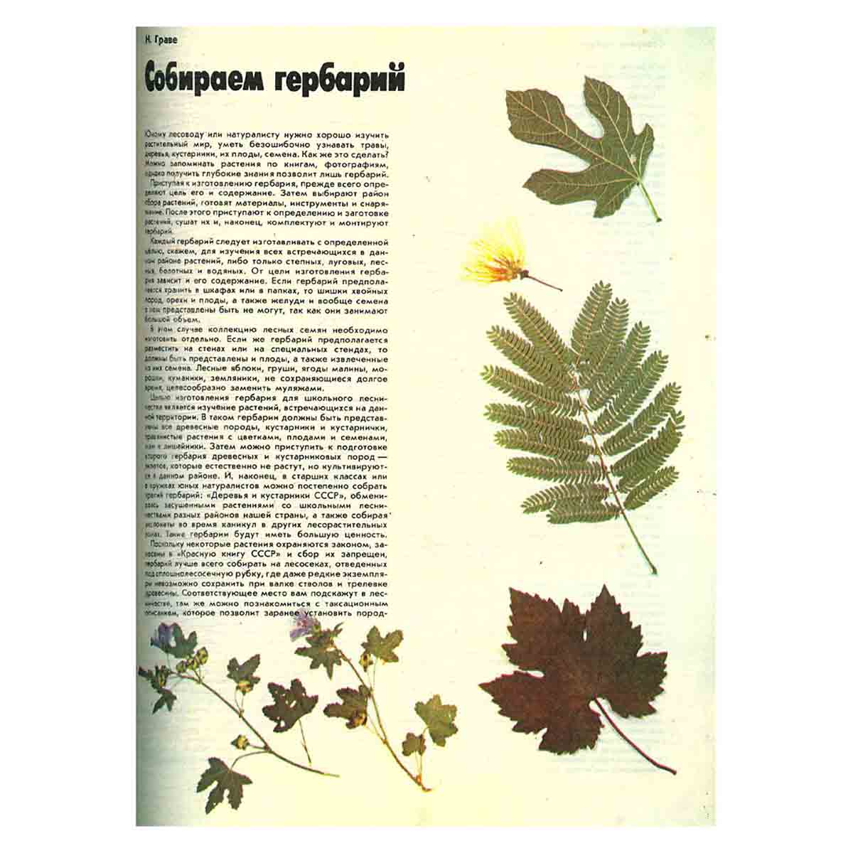 Журнал "Лес и человек". 1989