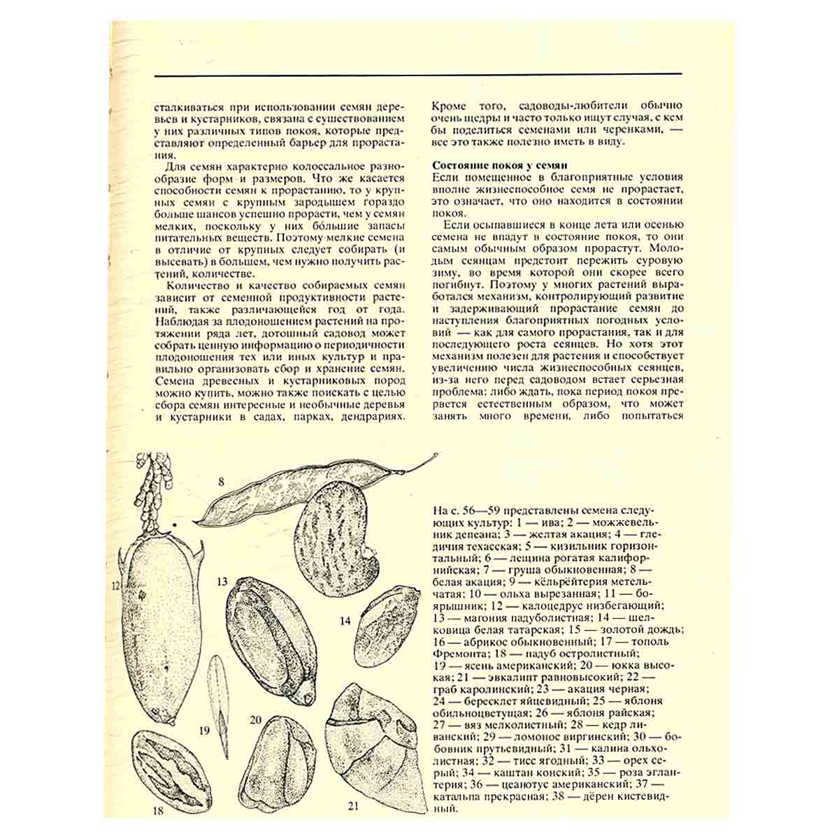 Размножение растений