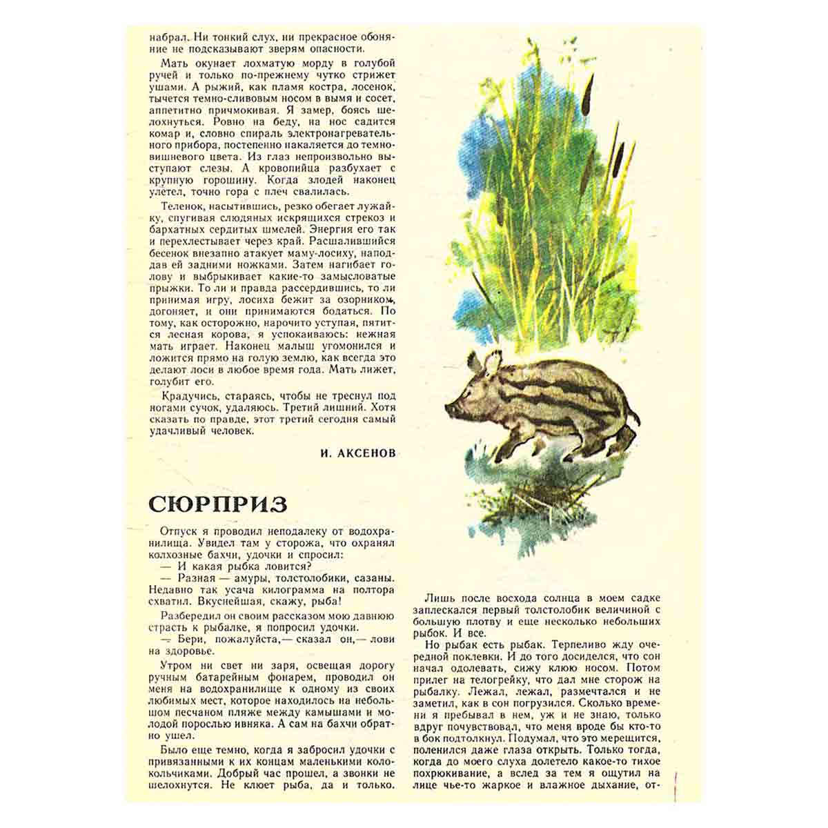 Журнал "Юный натуралист". Выпуск 9 /1982 год