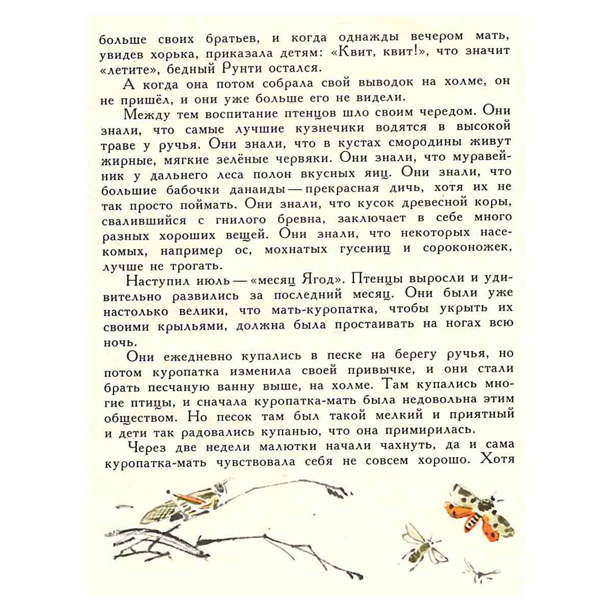 Рваное ушко