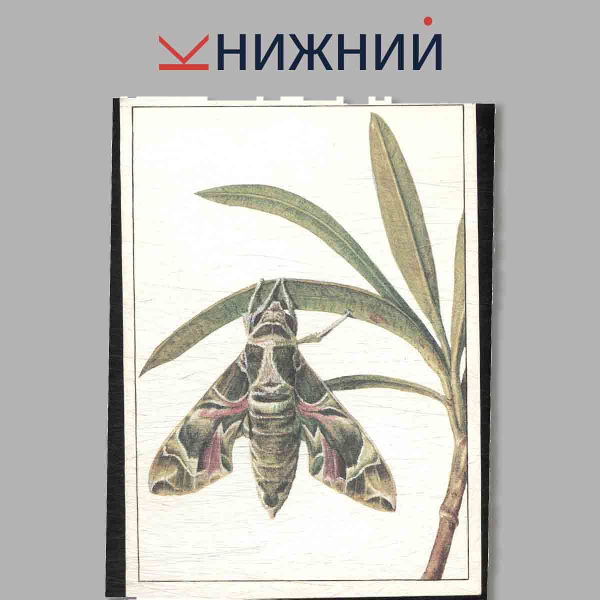 Набор открыток. Их нужно спасти. Красная книга СССР. Выпуск 4.