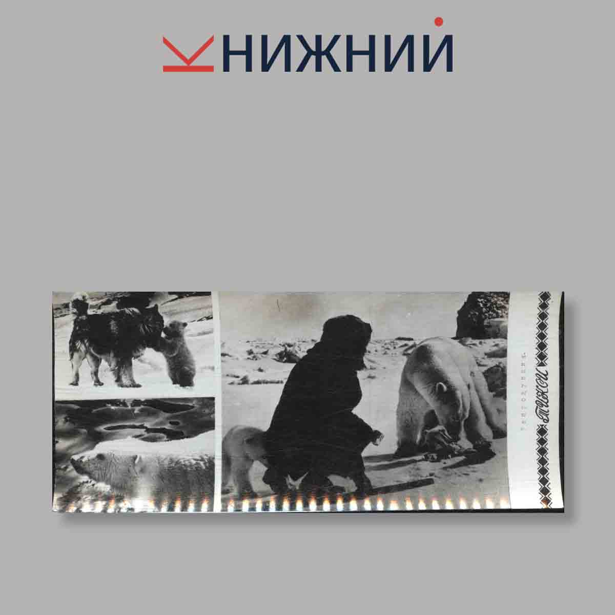 Набор открыток. "Тикси. Арктика"