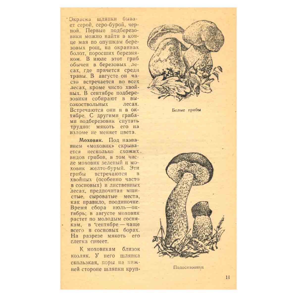 Удивительный мир природы